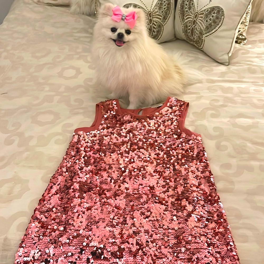 Forever 21 girl sequence dress